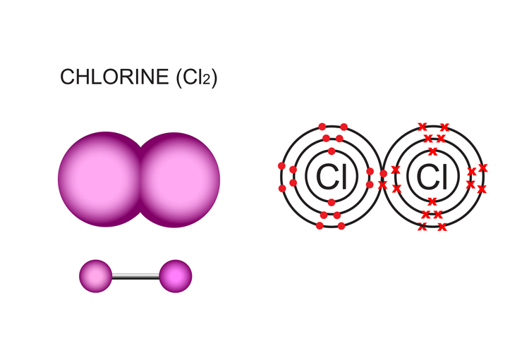 A molecule with 2 chlorine atoms is a diatomic molecule